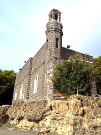 Tabgha church of the bread and fish private tour with guide 
