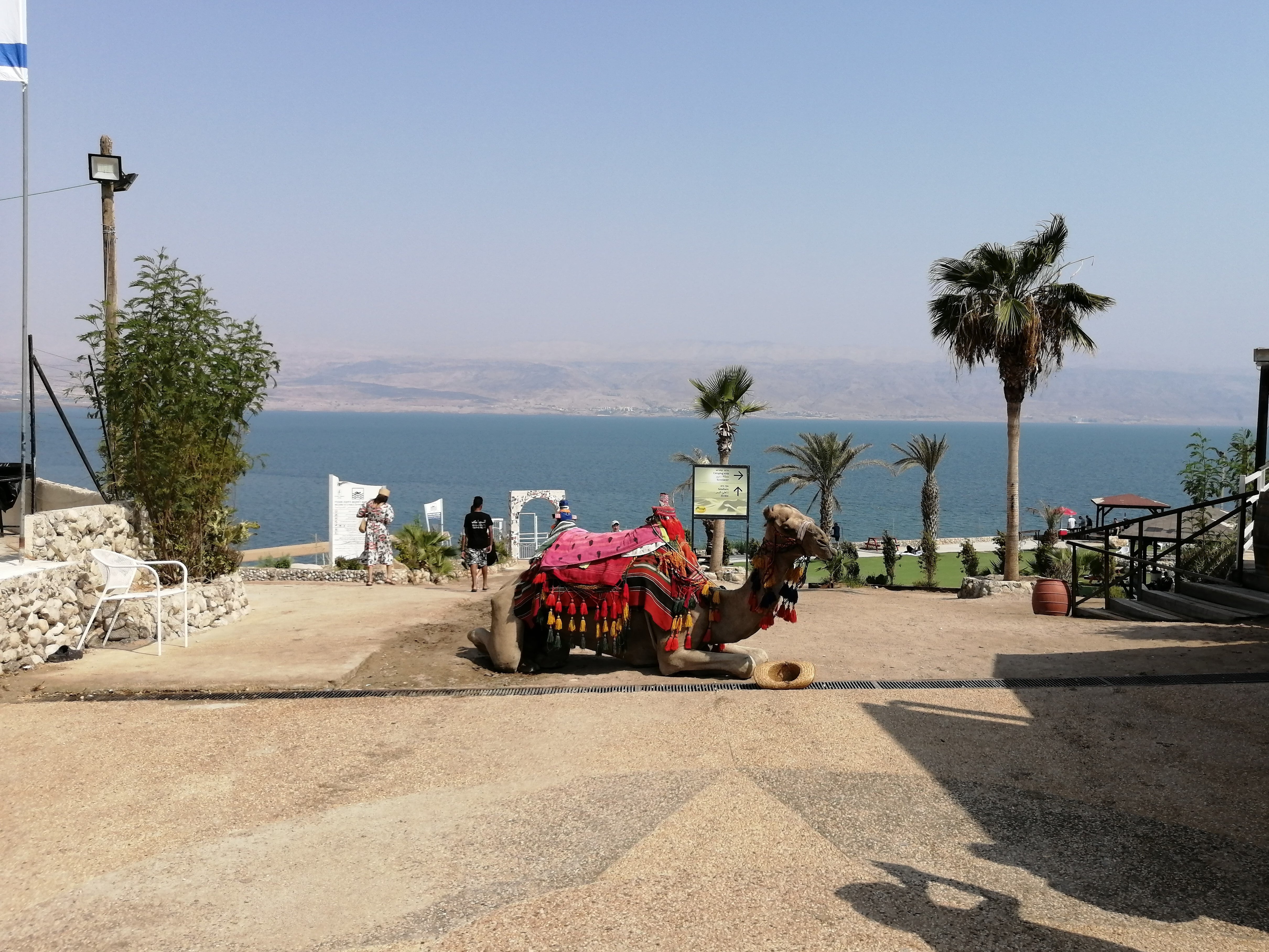 Dead Sea tour from Tel Aviv Private trip
