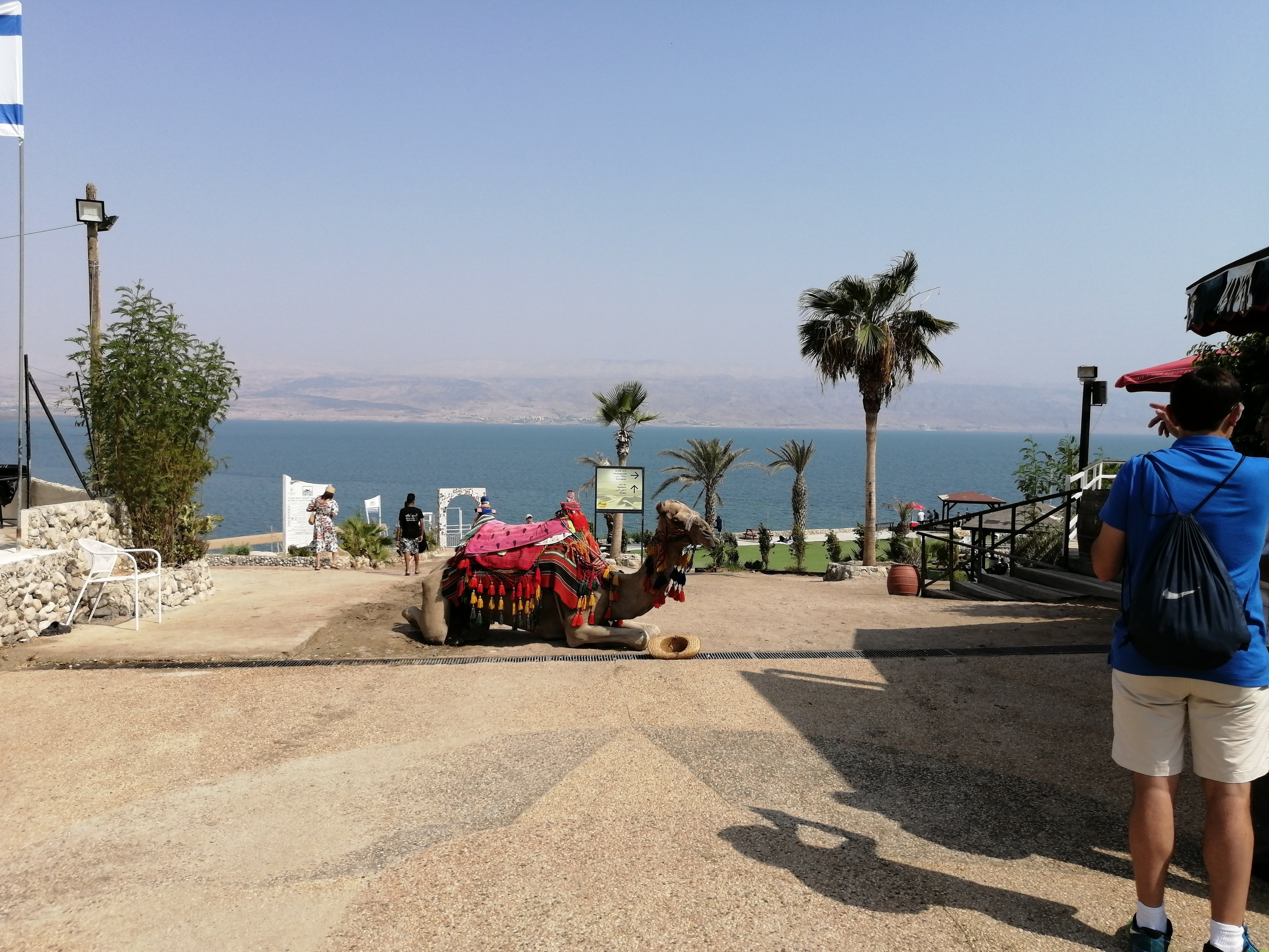 Dead Sea Trip Israel from Jerusalem and Tel Aviv Camel Holy Land Tour