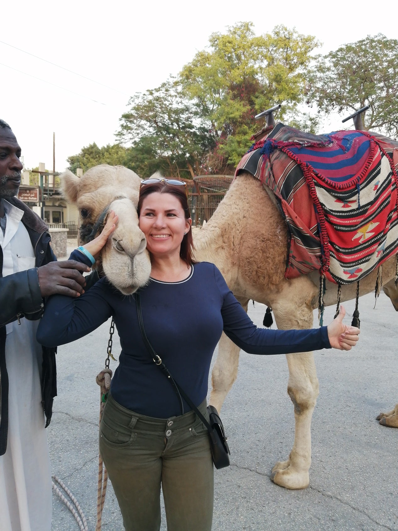 Jericho Tour from Jerusalem and Tel Aviv Camel