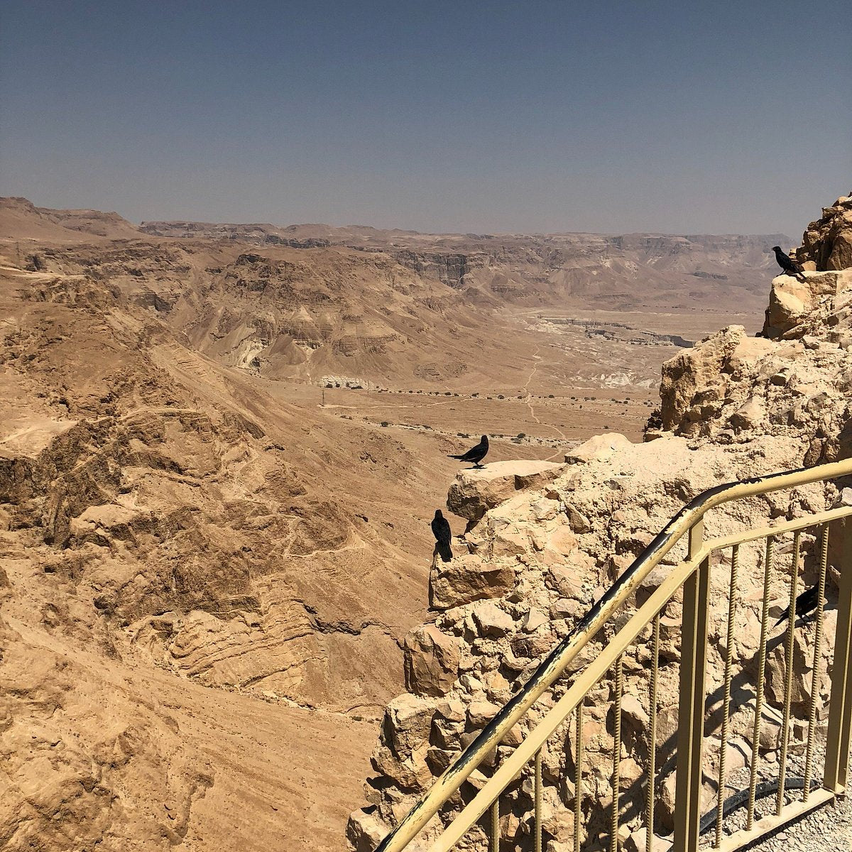 Masada & the Dead Sea Private Tour