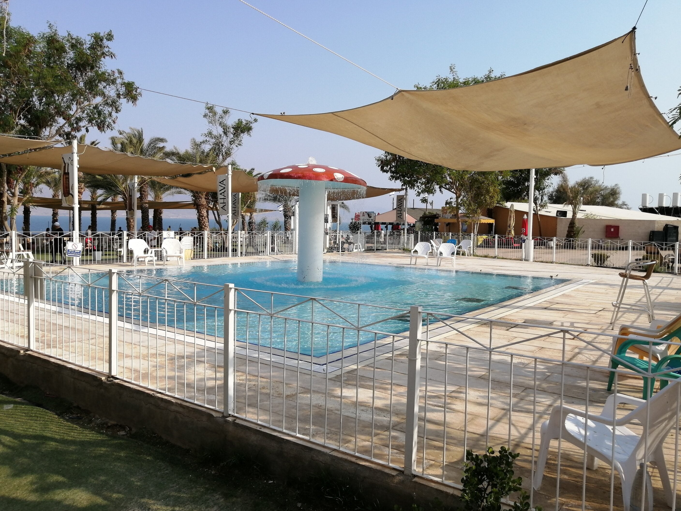 Dead Sea swimming pool trip from Jerusalem and Tel Aviv
